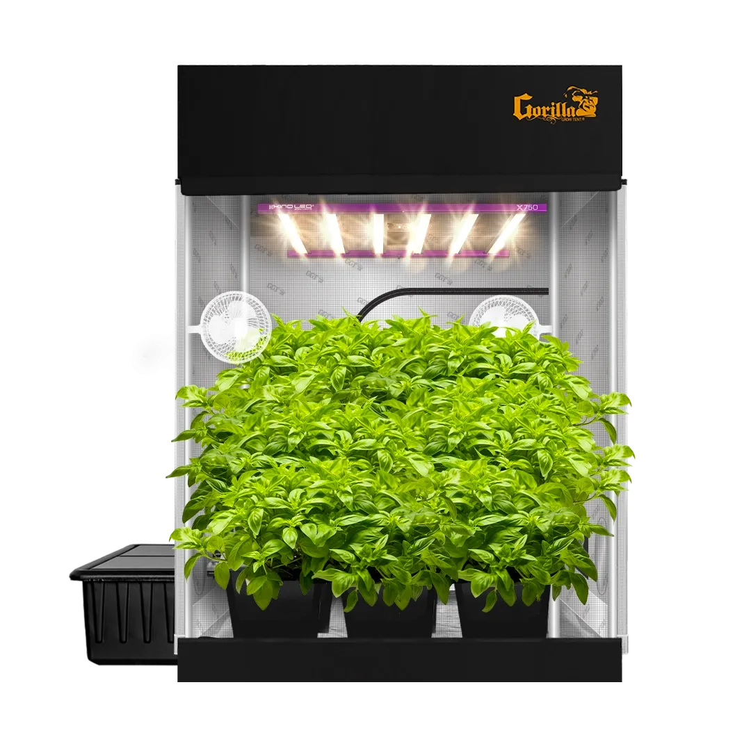 5x5 Grow Tent Kit Pro - Hydroponic with X750