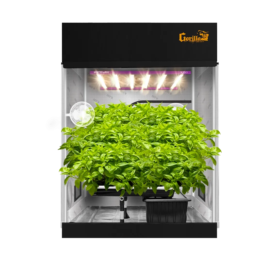 5x5 Grow Tent Kit Pro - Hydroponic with X750