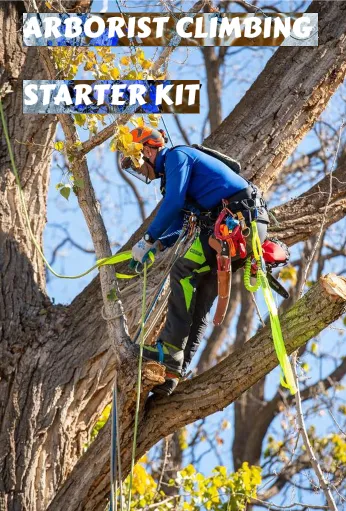 Arbormaster Starter Climbing Kit