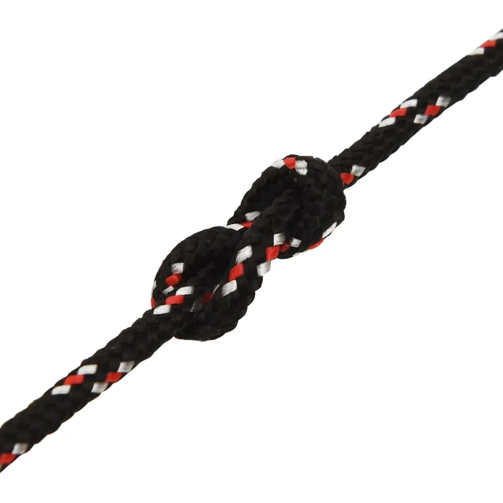 Boat Rope Black 3 mm 25 m Polypropylene