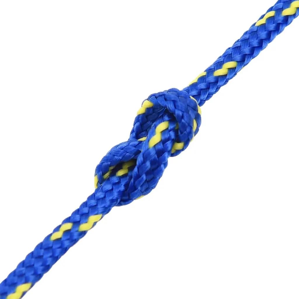 Boat Rope Blue 2 mm 50 m Polypropylene