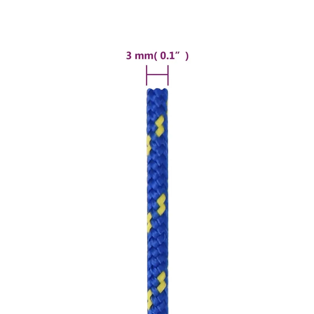 Boat Rope Blue 3 mm 250 m Polypropylene