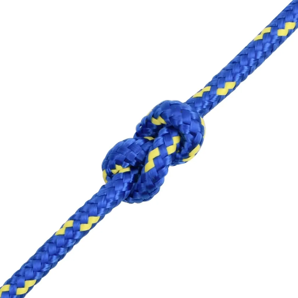 Boat Rope Blue 6 mm 250 m Polypropylene