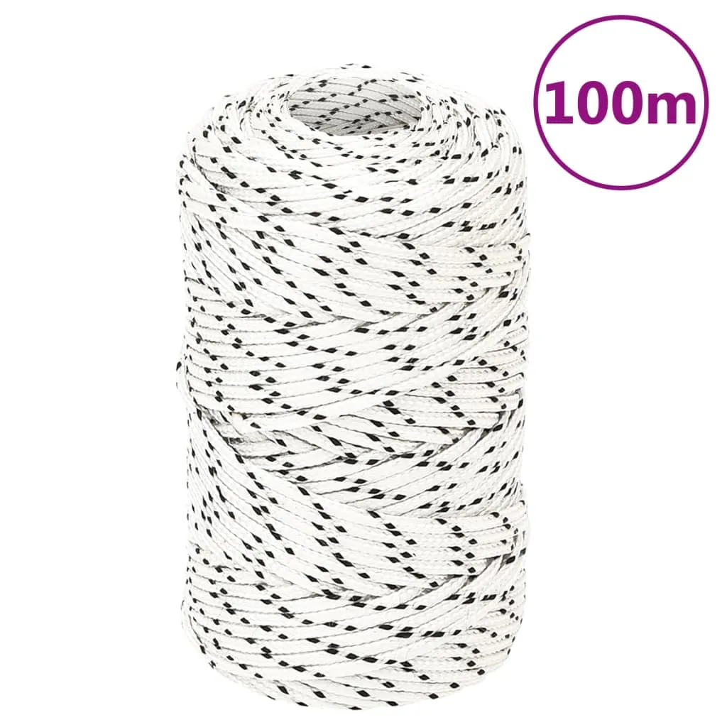 Braided Boat Rope White 2 mmx100 m Polyester