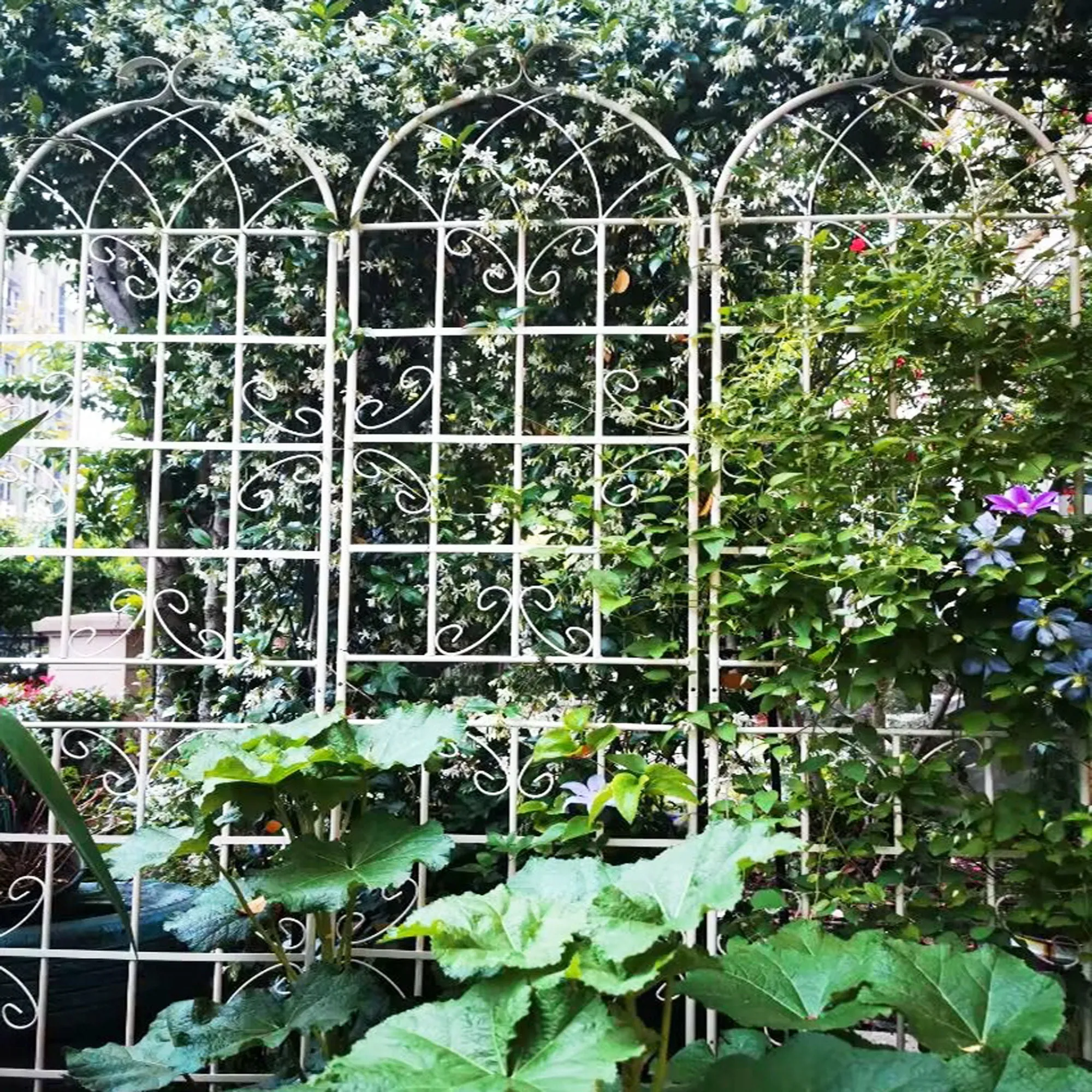 Metal Garden Rustproof Trellis For Climbing Plants Outdoor Flower Support