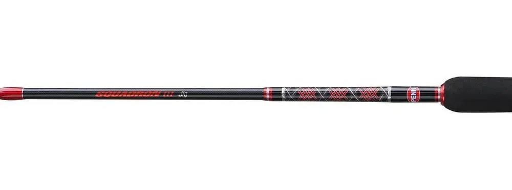 Penn Squadron III Jig rod