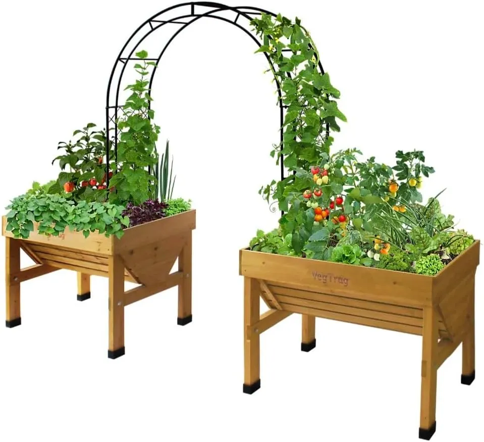 VegTrug Climbing Garden Arch Black New